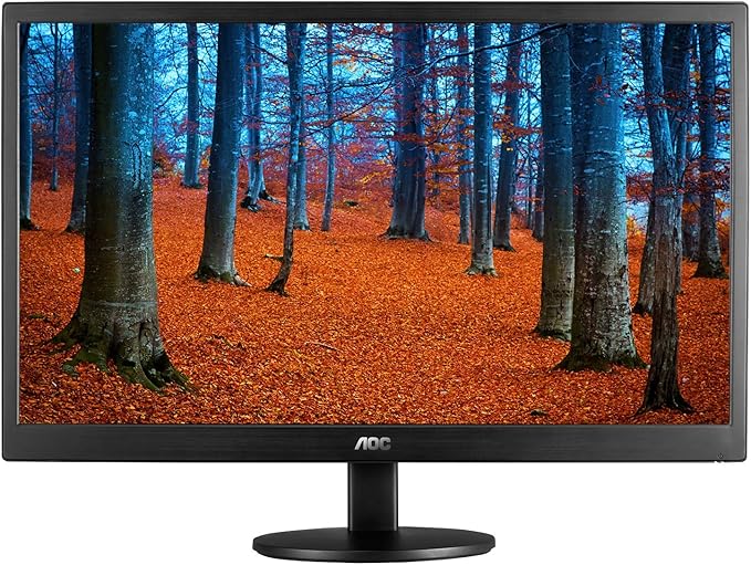 AOC E970SWN 18.5-Inch LED Monitor VGA VESA