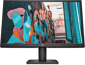 HP V222vb 21.5-inch FHD 75Hz VA Monitor