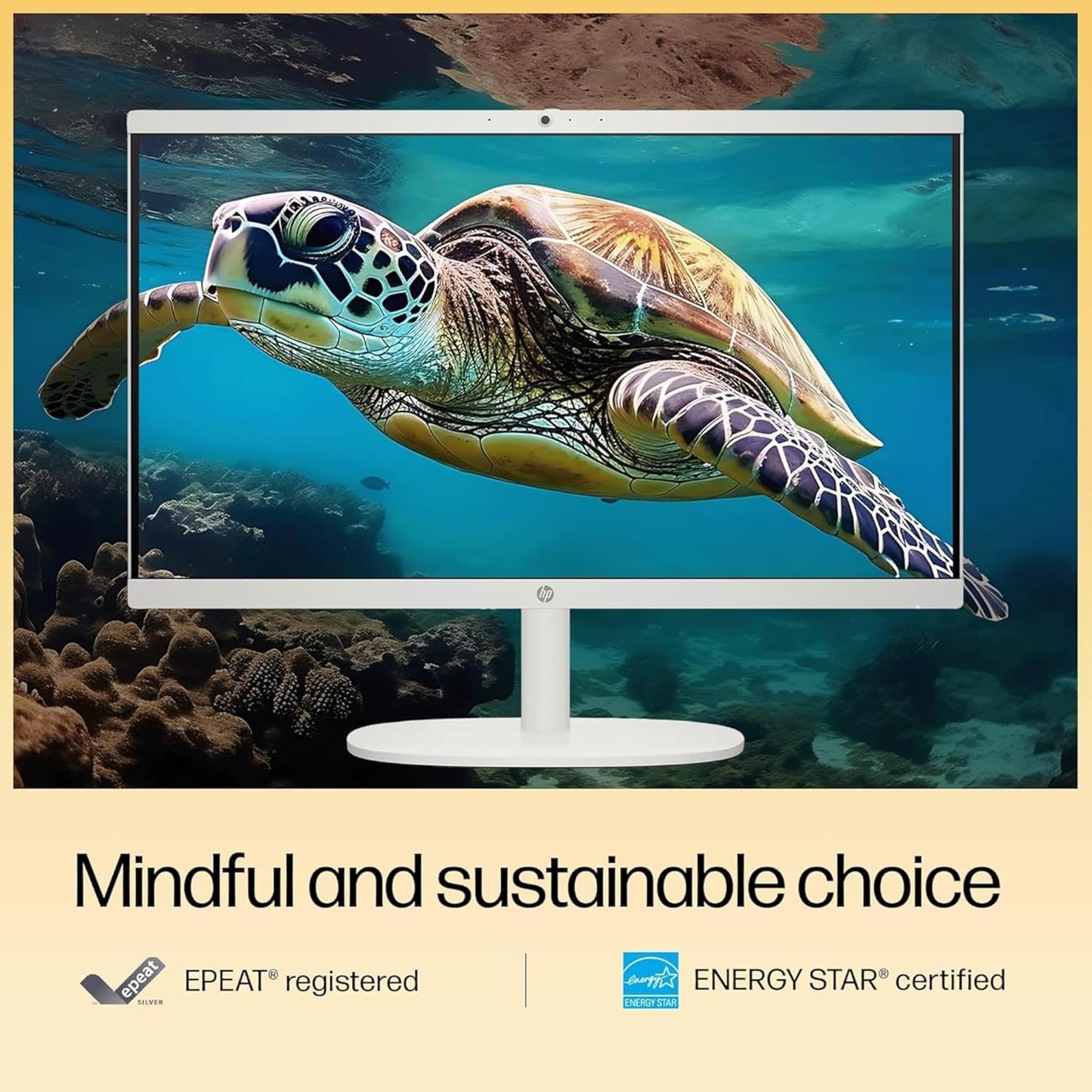 HP HP 22 aio FHD All-in-One Celeron Desktop