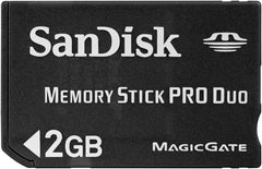 SanDisk BC68487 2GB Memory Stick PRO Duo