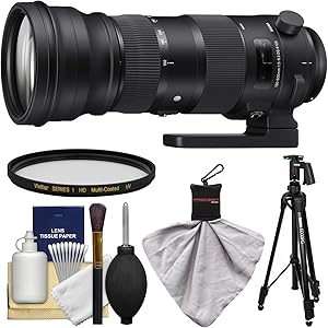 Sigma K-88132-01 150-600mm Lens Kit for Nikon