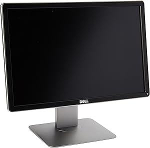 Dell P2016 20
