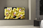 Sony XBR55X800G 55-Inch 4K UHD Smart Android TV HDR 2019