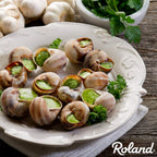Roland RO601 Extra Large Snail Shells - 36 Count