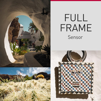 Panasonic DC-S9KK Lumix S9 Full Frame Mirrorless Camera