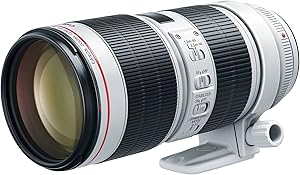 Canon EF 70-200mm f/2.8L IS III USM Lens - Renewed