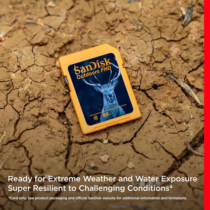 SanDisk SDSDUNR-032G-GN6V2 32GB SD Card 2-Pack Trail Camera