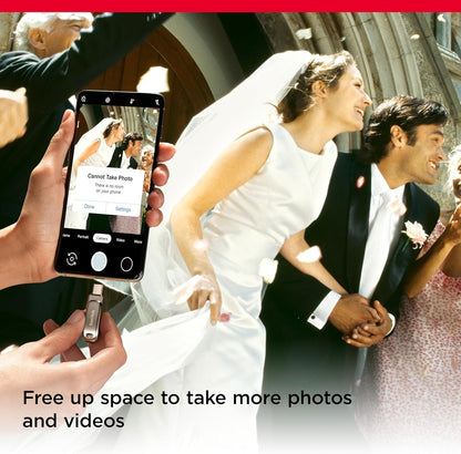 SanDisk SDDDC4-256G-GAM46 256GB Ultra Dual Drive Luxe