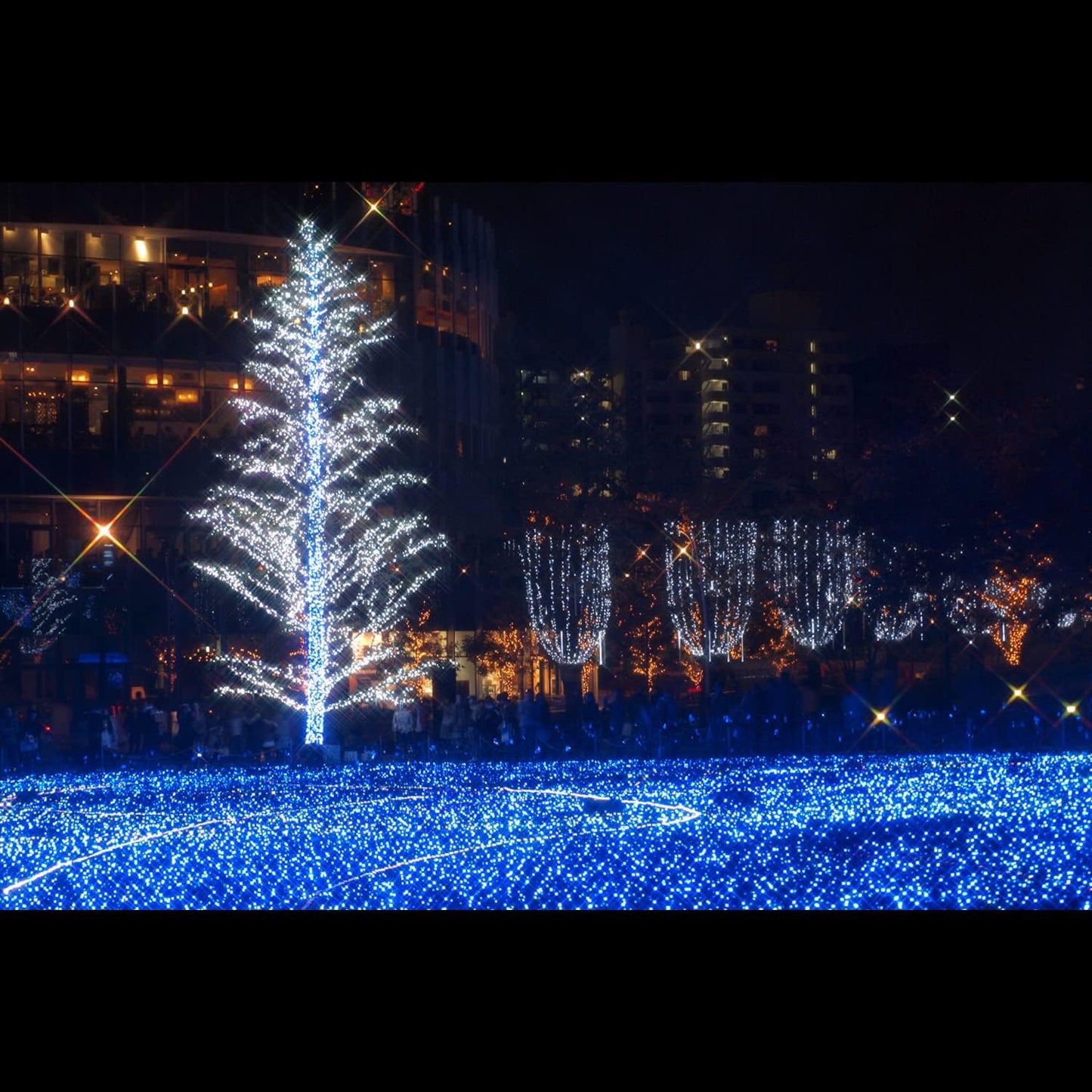 Hoya YYE4158 Star 4X Filter - 58mm Lens Effect