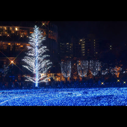 Hoya YYE4158 Star 4X Filter - 58mm Lens Effect