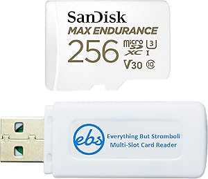 SanDisk SDSQQVR-256G-GN6IA 256GB MAX Endurance MicroSD Card — main product image