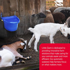 Miller FW16BLUE Auto Float Livestock Waterer (3 Pack)