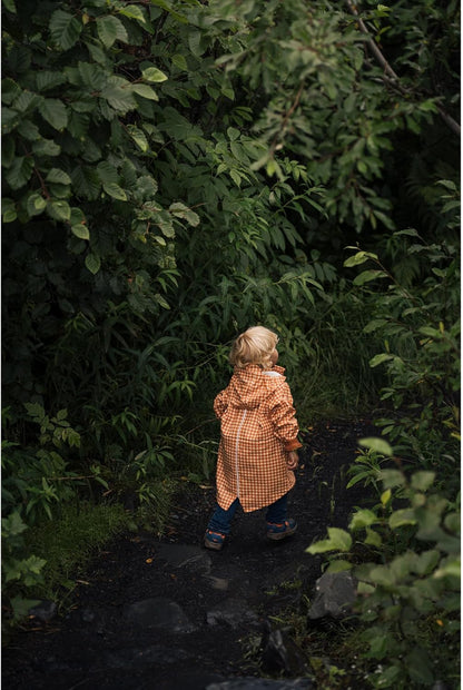 Sigma 636965 28-105mm F2.8 DG DN Sony E-Mount Lens