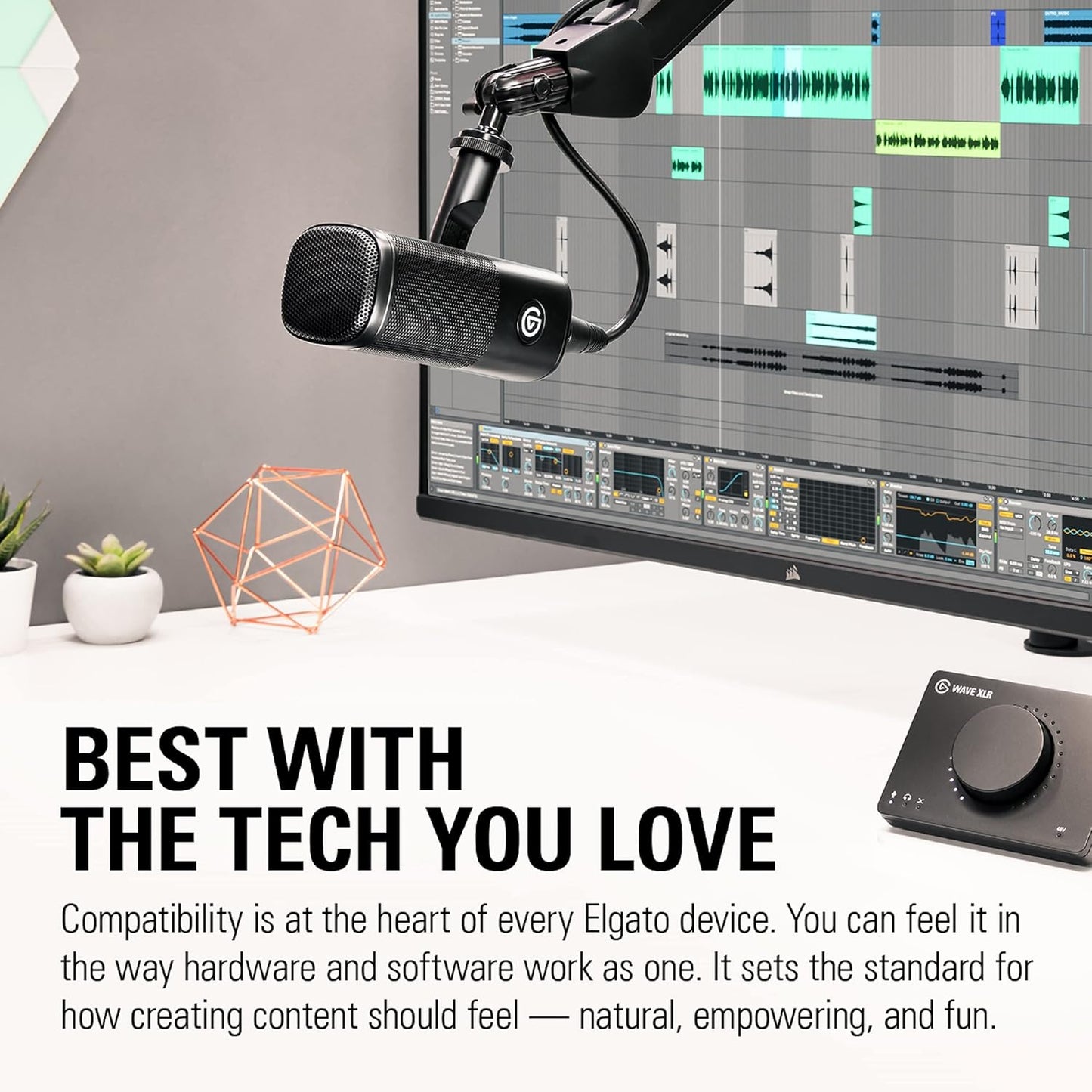 Elgato Wave DX Dynamic XLR Microphone for Streaming