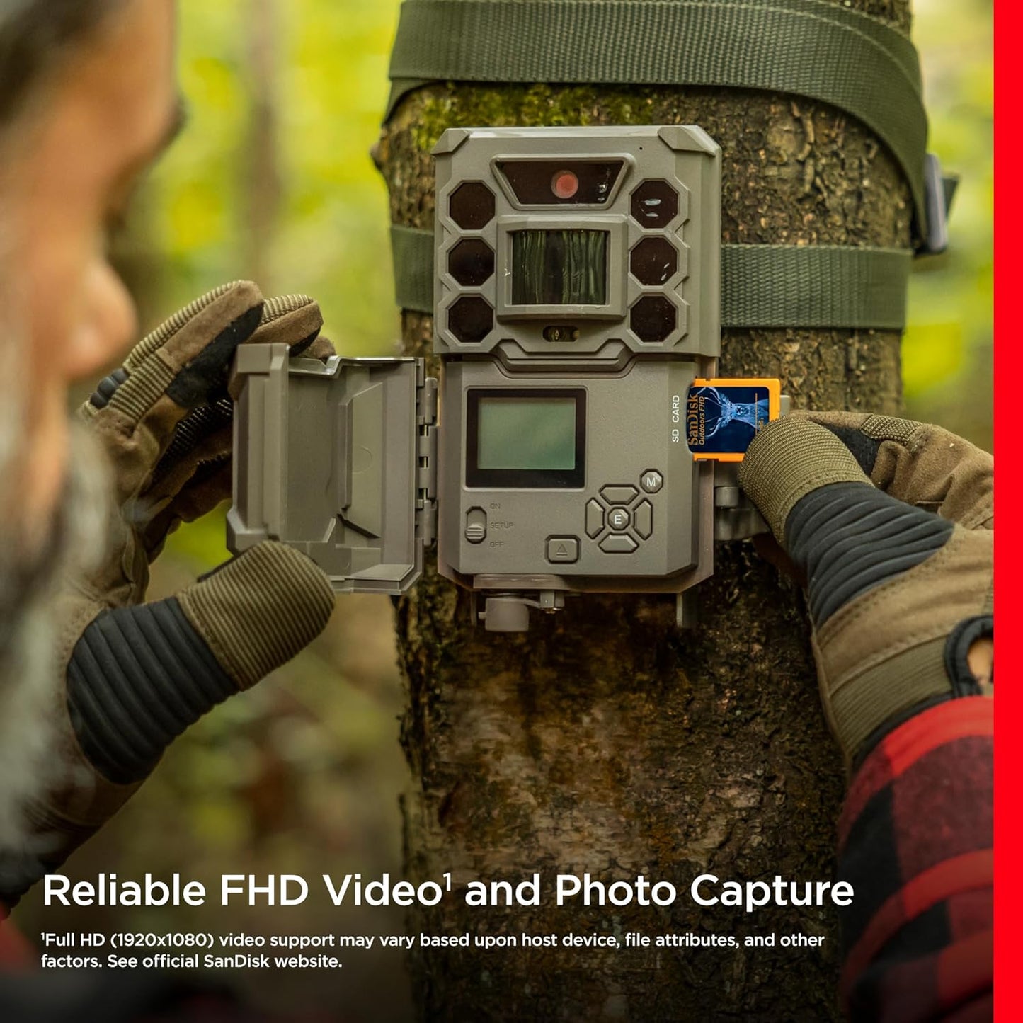 SanDisk SDSDUNR-032G-GN6V2 32GB SD Card 2-Pack Trail Camera