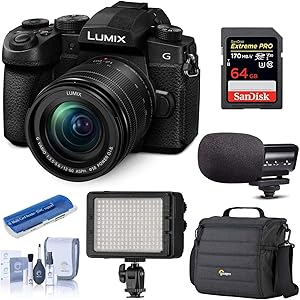 Panasonic DC-G95 LUMIX 20.3MP Mirrorless Camera 12-60mm