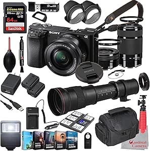 Sony ILCE6100L/B Alpha a6100 Mirrorless Camera Bundle: 16-50mm, 55-210mm Lenses