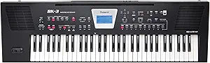 Roland 074063E32 BK-3 BK Arranger Keyboard