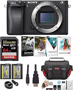 Sony ILCE6300/B a6300 Mirrorless Camera Bundle