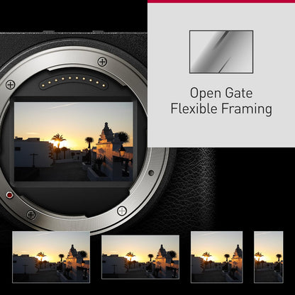 Panasonic DC-S9KK Lumix S9 Full Frame Mirrorless Camera