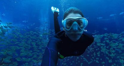 GoPro AACDR-001 Blue Water Snorkel Filter HERO6/5 Black