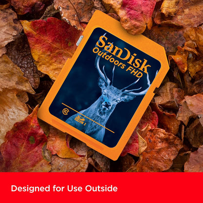 SanDisk SDSDUNR-032G-GN6V2 32GB SD Card 2-Pack Trail Camera
