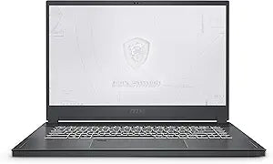 MSI WS66 10TKT-080 i7 Mobile Workstation RTX3000