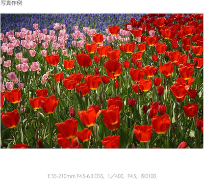 Sony SEL55210-cr 55-210mm E-Mount Lens Renewed