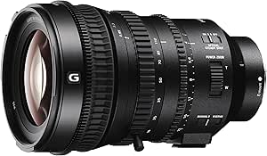 Sony SELP18110G-cr 18-110mm Power Zoom Lens (Renewed)