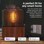 Roku PS1000P2R Smart Home Indoor Smart Plug 2-Pack