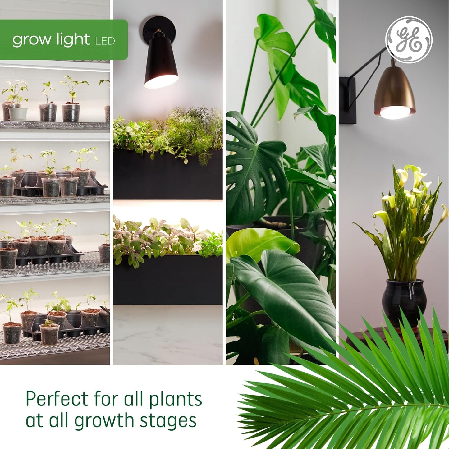 GE 00043168550895 Grow LED Light Bulb Balanced Spectrum 2-Pack