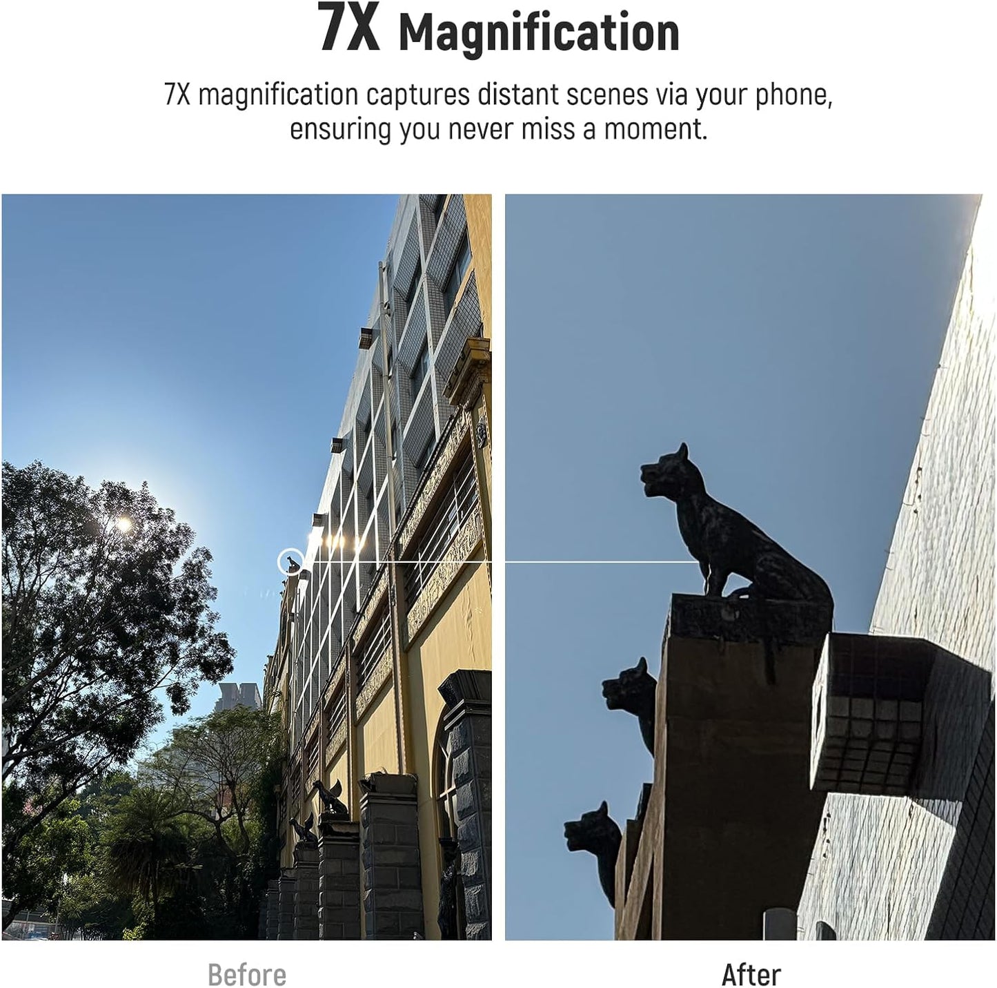 Neewer LS-36 7X Telephoto Lens for Phone Cage