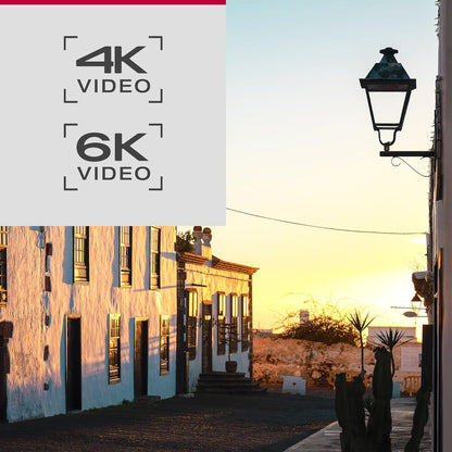 Panasonic DC-S9KK Lumix S9 Full Frame Mirrorless Camera