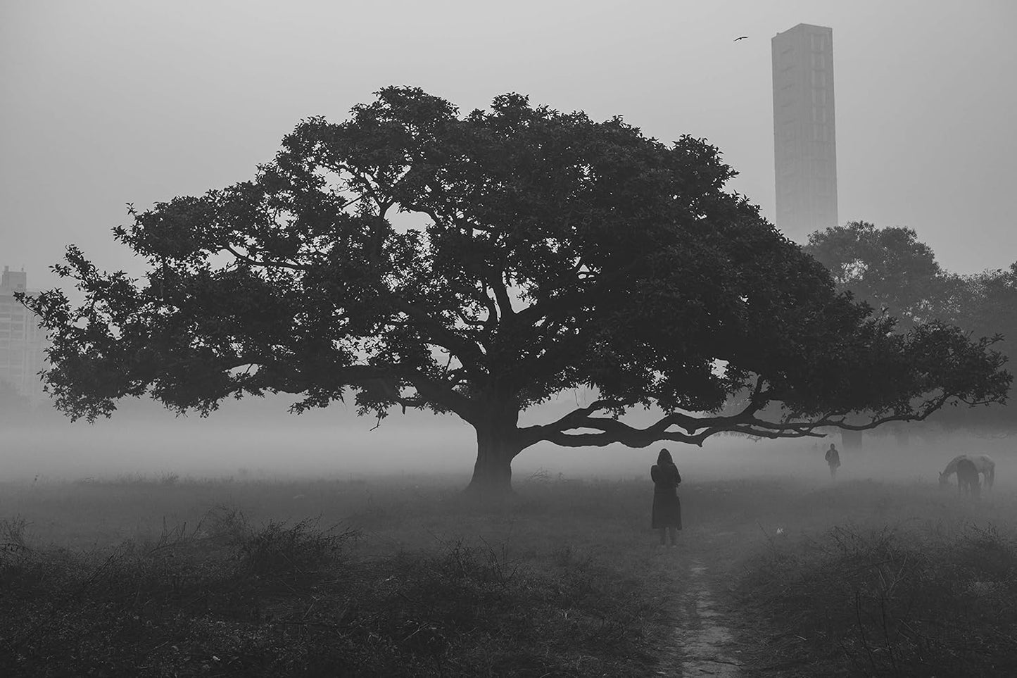 Fujifilm 16670170 XF27mmF2.8 R WR Lens