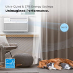 TCL H8W25WQ 8000 BTU Smart Inverter Window AC