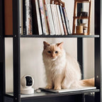 TP-Link Pan/Tilt Camera 1080p HD Smart Security