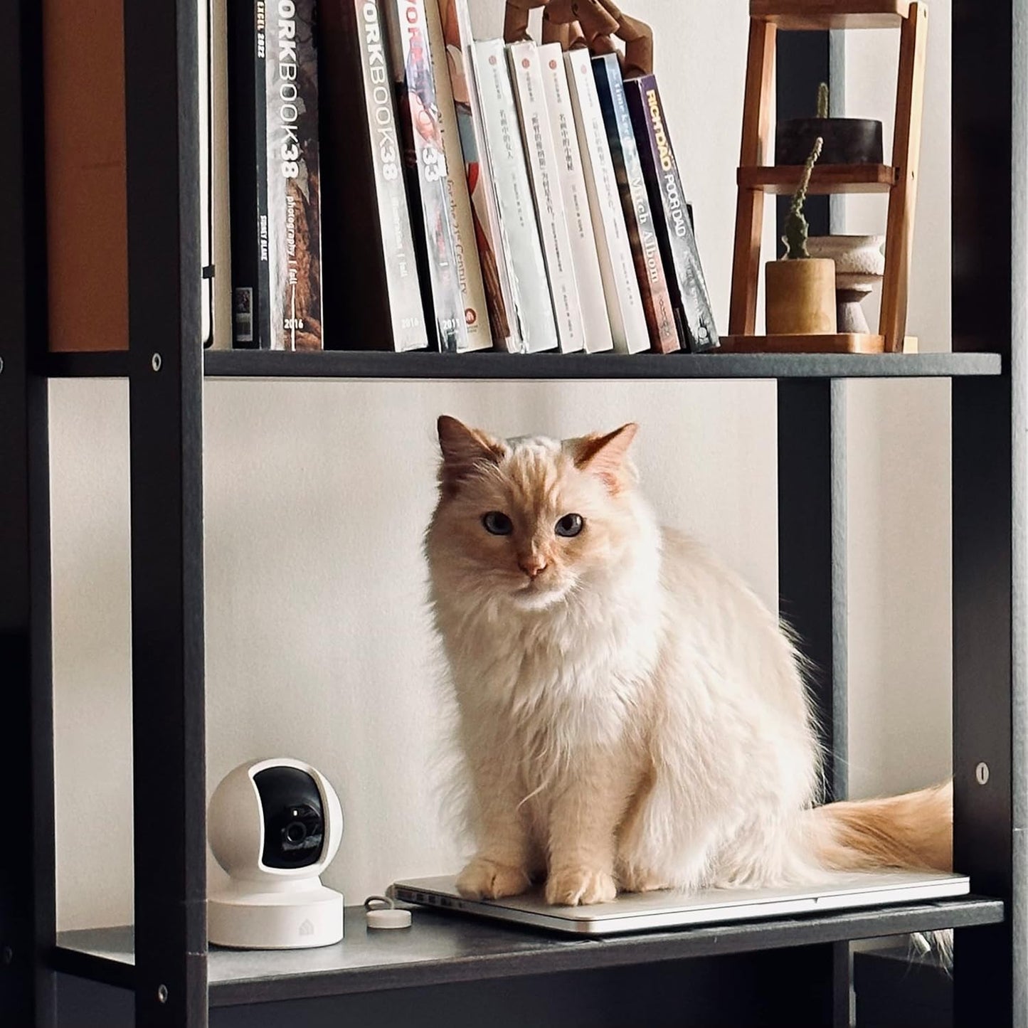 TP-Link Pan/Tilt Camera 1080p HD Smart Security