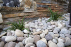MSI AMZ-LSC-0014 Multicolor Decorative Polished Pebbles 40 lb