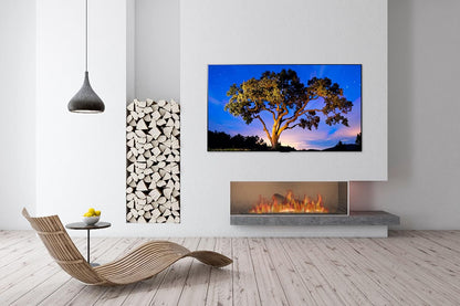 LG OLED77G1PUA 77" 4K Smart OLED TV Bundle