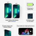 Apple A2484 iPhone 13 Pro Max 256GB Silver (Renewed Premium)