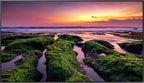 Samsung QB75B QBB Quantum Processor 4K 75