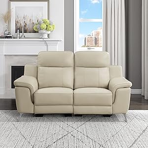Lexicon 194840167952 Betzer Leather Power Reclining Loveseat: Beige