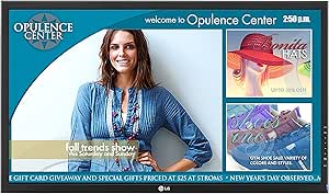 LG 47WV30BS-B 47-Inch LED Widescreen HD Monitor