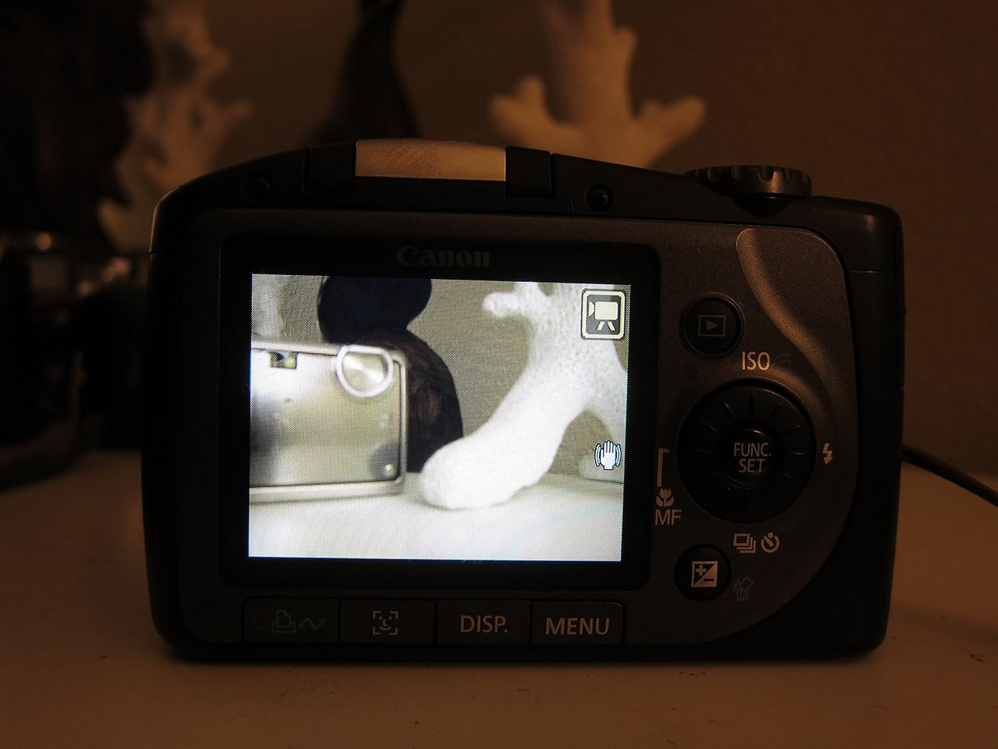 Canon PowerShot SX100IS 8MP Digital Camera