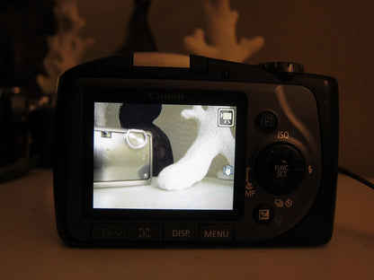 Canon PowerShot SX100IS 8MP Digital Camera
