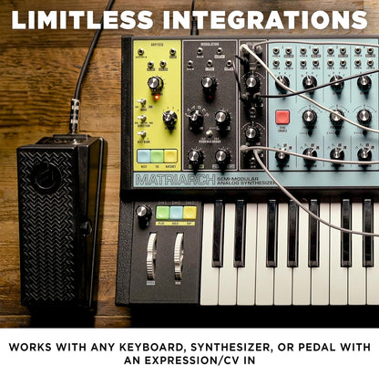 Moog EP-3 Universal Keyboard Expression Pedal