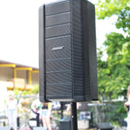 Bose 731419-1110 F1 Model 812 Flexible Array Loudspeaker