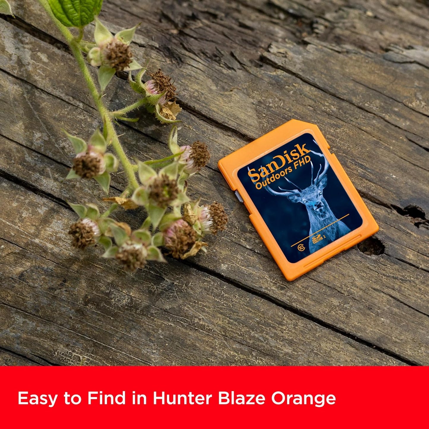 SanDisk SDSDUNR-032G-GN6V2 32GB SD Card 2-Pack Trail Camera