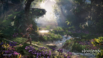 Sony 9720690 Horizon Forbidden West (PS5)