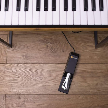 M-Audio SP-2 Universal Piano Sustain Pedal